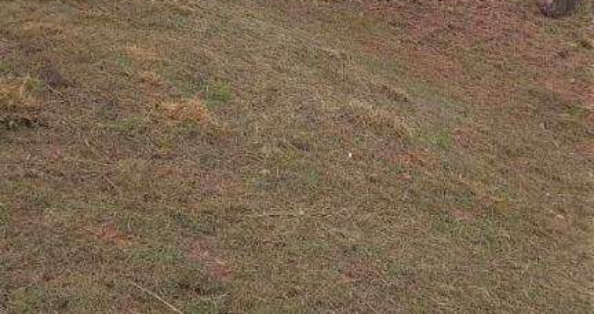 Terreno à venda - Condomínio Bosque do Horto - Jundiaí/SP