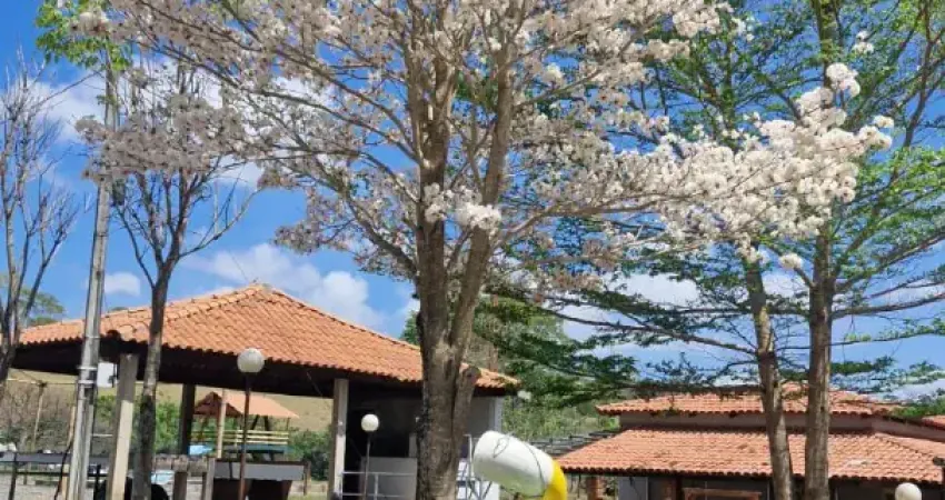 Linda chácara prox. de anápolis, espaço para lazer e forma de renda, local totalmente formado, casa , córrego e muito mais.