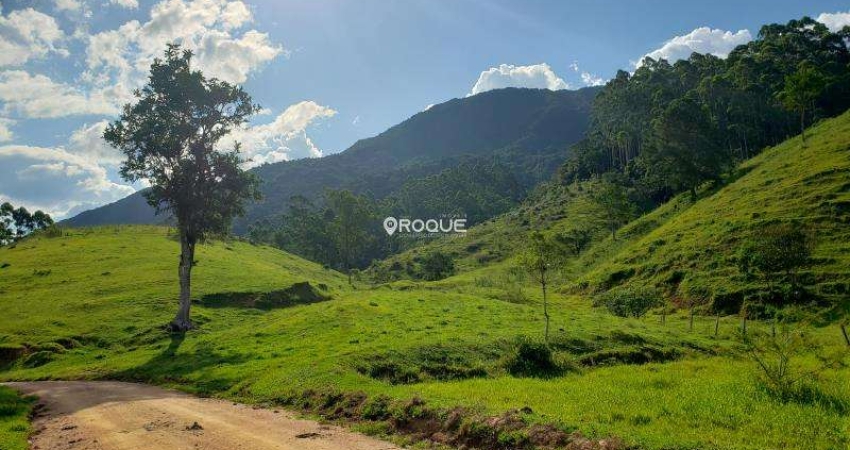 Terreno comercial à venda na ESTRADA GERAL DE GARCIA, Garcia, Angelina