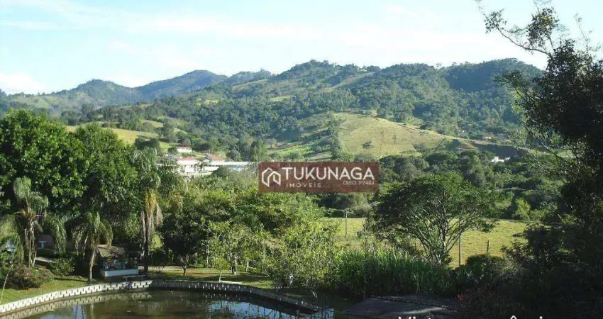 Chácara com 5 dormitórios à venda, 8000 m² por R$ 650.000,00 - Itapeva - Itapeva/MG