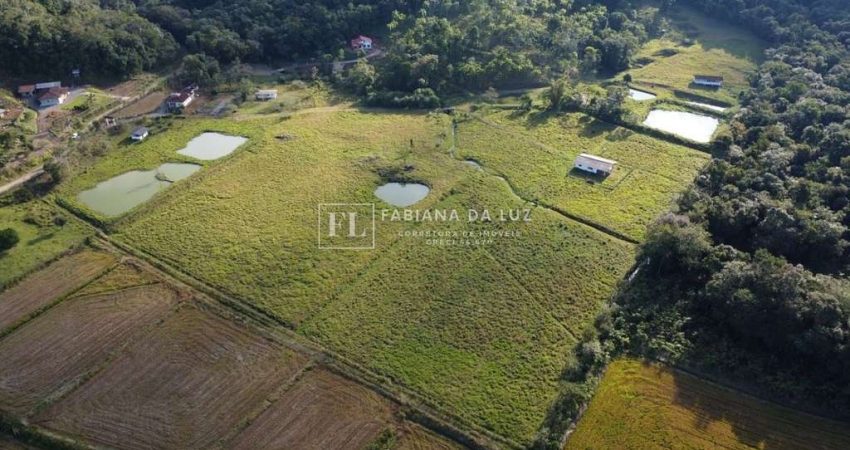 Fazenda à venda na Vila Nova, Joinville 