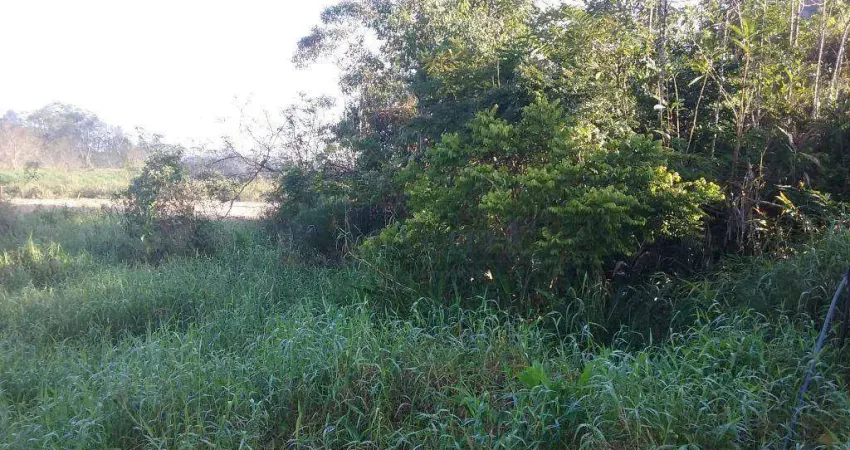 Terreno à venda, 4000 m² por R$ 400.000,00 - Espinheiros - Itajaí/SC