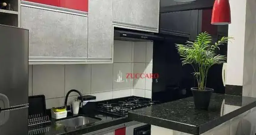 Apartamento com 2 dormitórios à venda, 51 m² por R$ 285.000,00 - Vila Rio de Janeiro - Guarulhos/SP