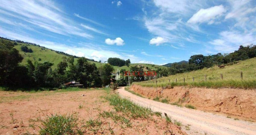 Terreno à venda, 2000 m² por r$ 200.000,00 - das areias - itapeva/mg