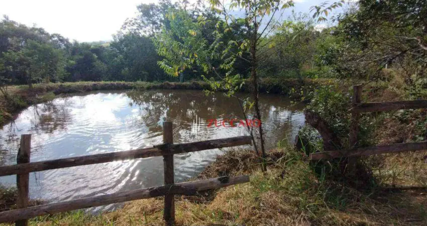 Chácara com 1 dormitório à venda, 4300 m² por r$ 400.000,00 - itapeva - itapeva/mg