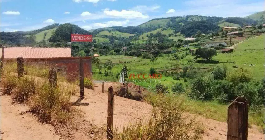 Terreno à venda, 3000 m² por r$ 160.000,00 - areias - itapeva/mg