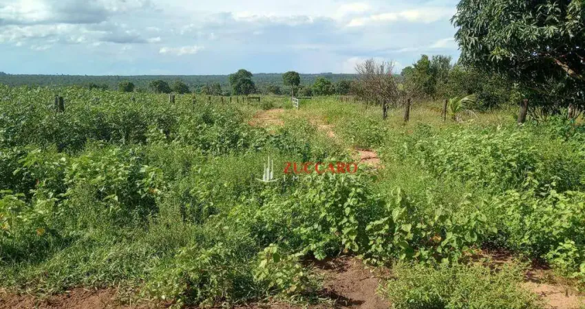 Fazenda à venda, 4331800 m² por R$ 16.100.000,00 - Centro - Santa Rita do Pardo/MS