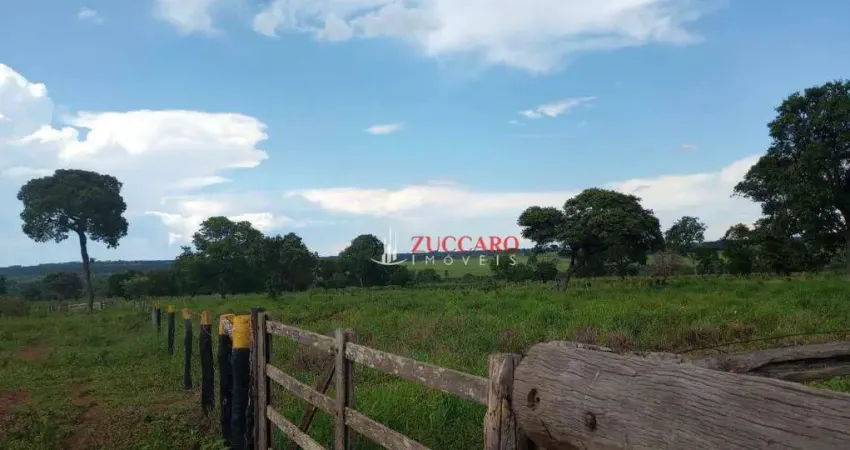 Fazenda à venda, 5396600 m² por R$ 13.500.000,00 - Centro - Santa Rita do Pardo/MS