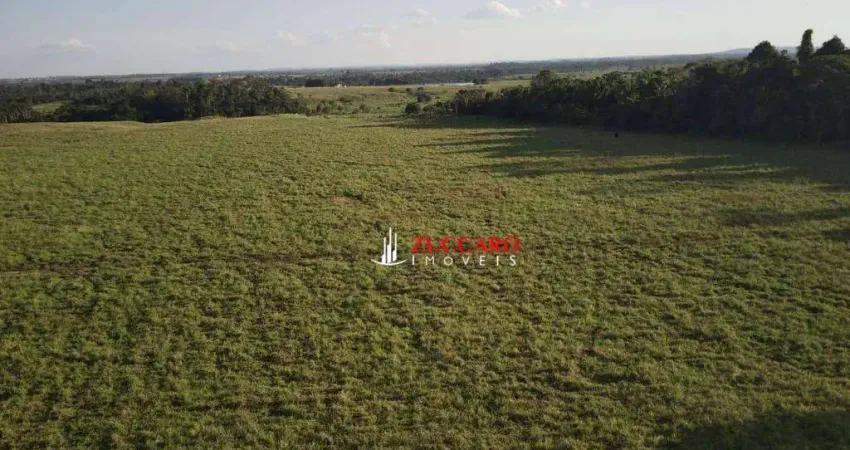 Fazenda à venda, 5577619 m² por R$ 33.000.000,00 - Fazenda Luana - Campo Novo de Rondônia/RO