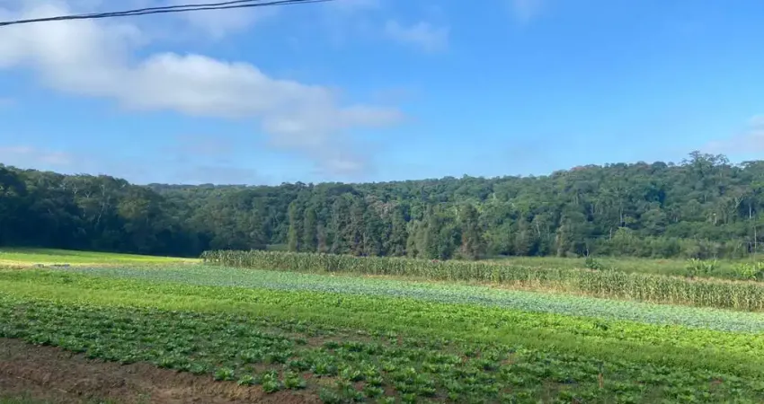 Área à venda, 194153 m² por r$ 11.650.000,00 - parque santa rosa - suzano/sp