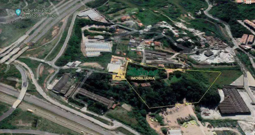 Área, 215000 m² - venda por R$ 40.000.000,00 ou aluguel por R$ 80.550,00/mês - Tremembé - São Paulo/SP