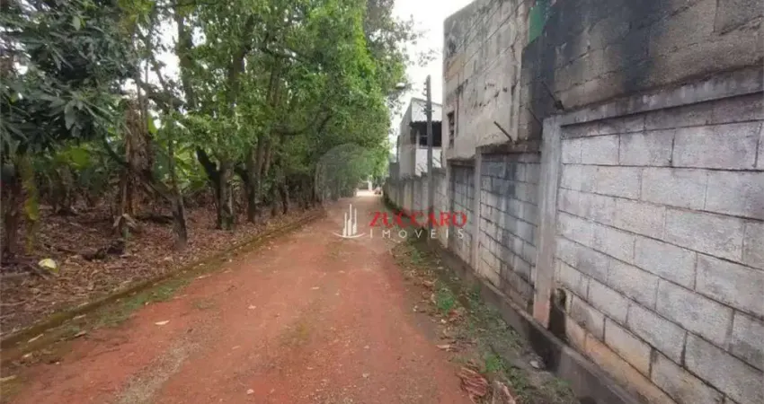 Terreno comercial à venda no Jardim Bela Vista, Guarulhos 