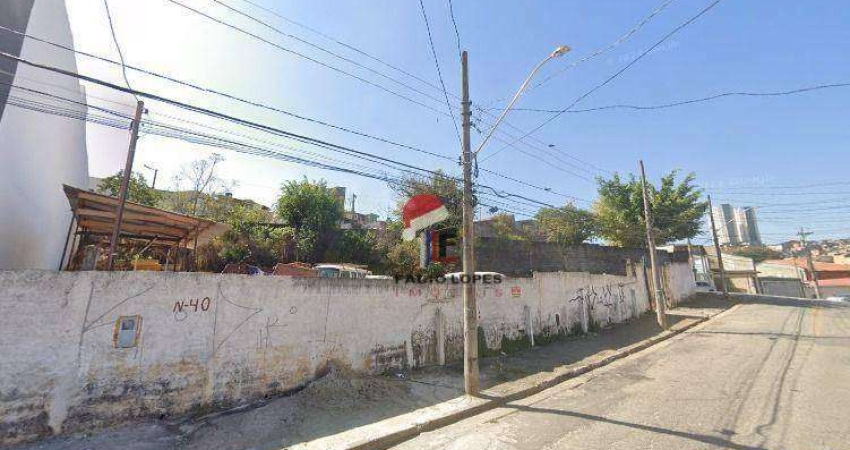 TERRENO COMERCIAL 564 M² NA VILA PALMARES À VENDA !