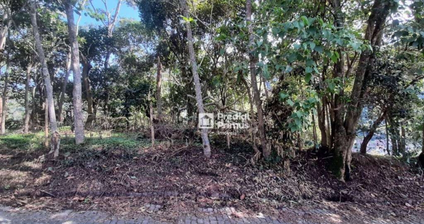 Terreno à venda, 480 m² por R$ 200.000,00 - Vargem Grande - Nova Friburgo/RJ