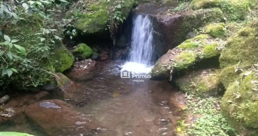 Sítio à venda, 555000 m² por R$ 4.000.000,00 - Macaé de Cima - Nova Friburgo/RJ