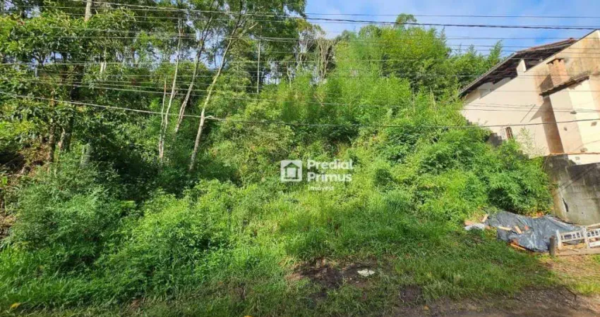 Terreno à venda, 896 m² por R$ 280.000,00 - Praça da Furunfa - Nova Friburgo/RJ
