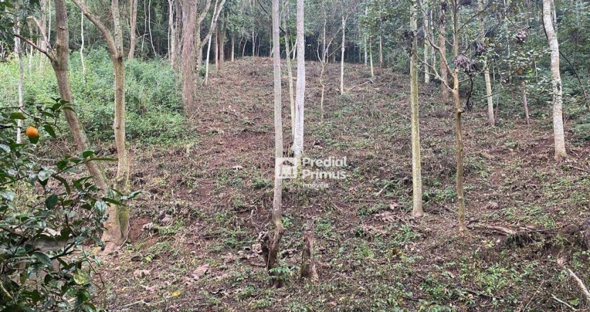 Terreno à venda, 1533 m² por R$ 200.000,00 - Parque Dom João VI - Nova Friburgo/RJ