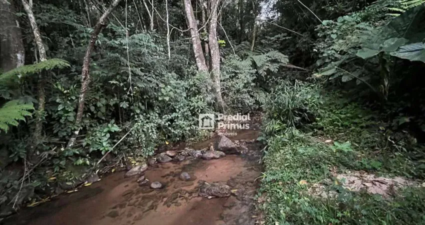 Terreno à venda, 1100 m² por R$ 330.050,00 - Lumiar - Nova Friburgo/RJ