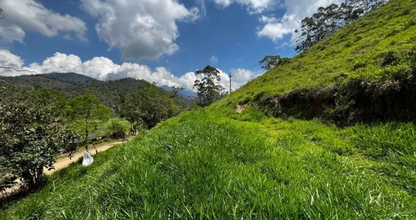 Terreno à venda, 990 m² por R$ 70.000,00 - Salinas - Nova Friburgo/RJ