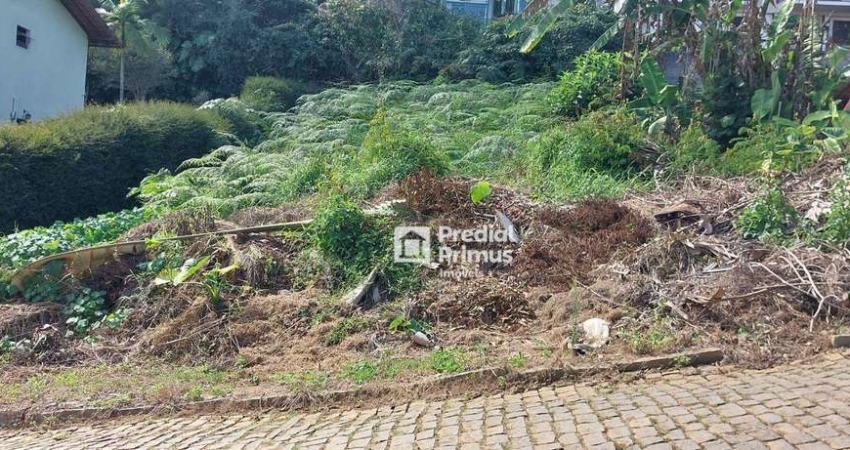 Terreno à venda, 465 m² por R$ 298.000,00 - Braunes - Nova Friburgo/RJ