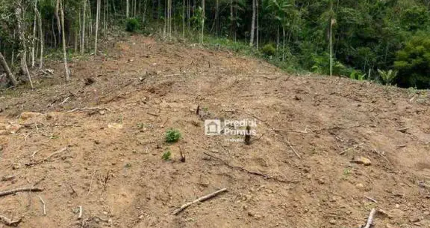 Terreno à venda, 20560 m² por R$ 650.000 - Cônego - Nova Friburgo/RJ