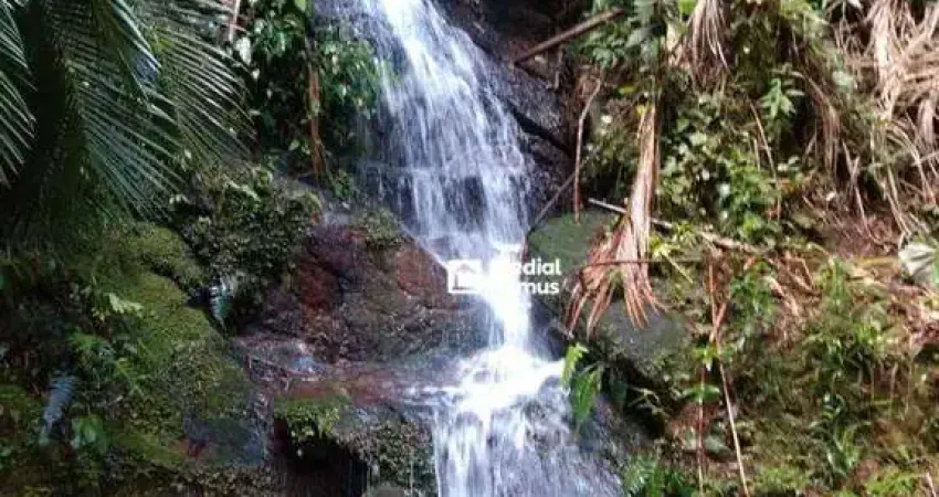 Chácara com 2 dormitórios à venda, 22000 m² por R$ 900.000,00 - Santiago - Nova Friburgo/RJ