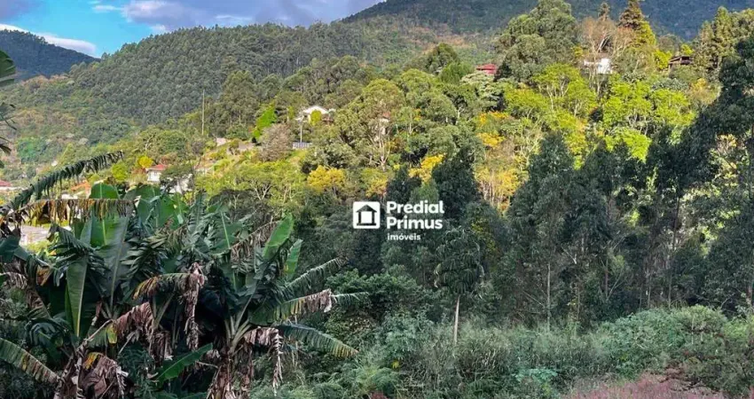 Terreno à Venda no Cascatinha – Natureza e Vista Privilegiada!