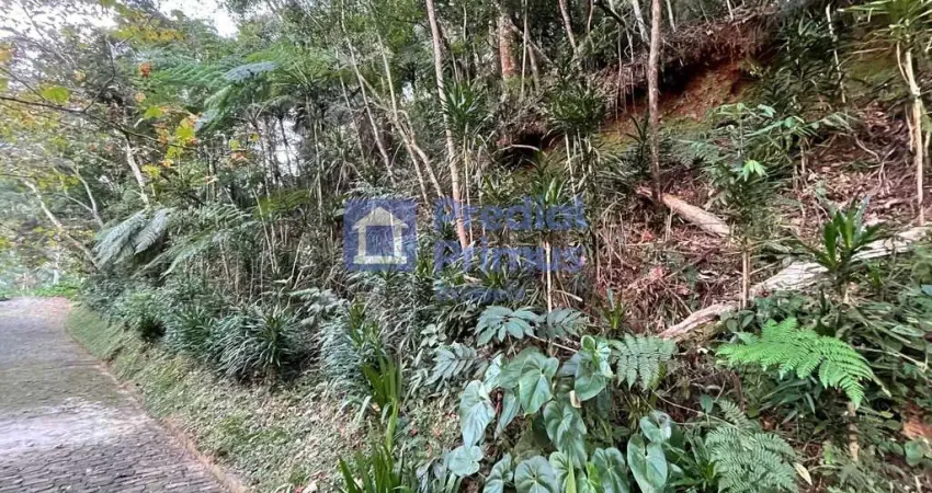 Terreno com rgi , 2345 m² à venda por r$ 350.000 - mury - nova friburgo/rj