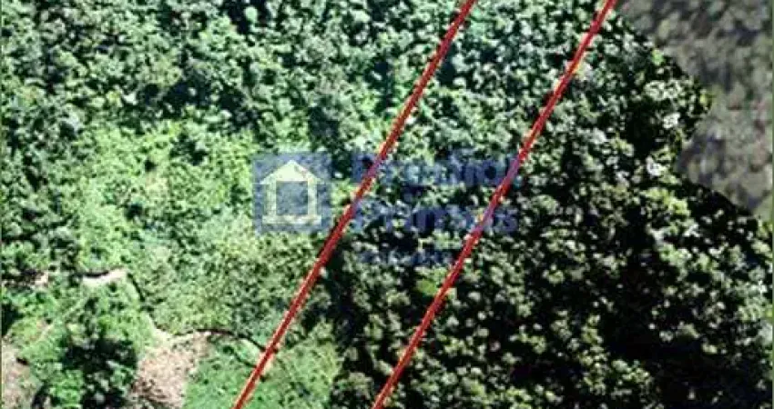 Refúgio exclusivo na mata atlântica – terreno em benfica, são pedro da serra