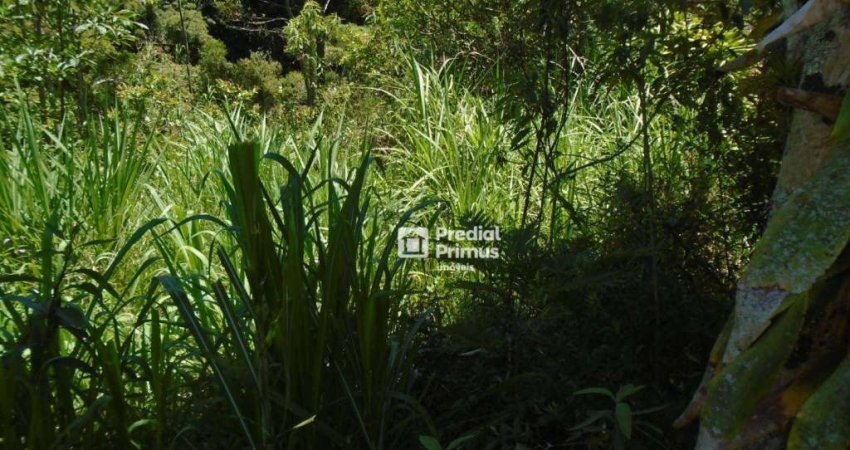 Terreno à venda, 600 m² por R$ 218.000,00 - Varginha - Nova Friburgo/RJ