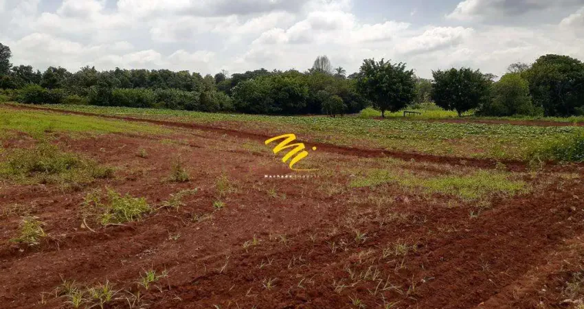Terreno à venda na Avenida Alexandre Cazelatto, s/n, Betel, Paulínia