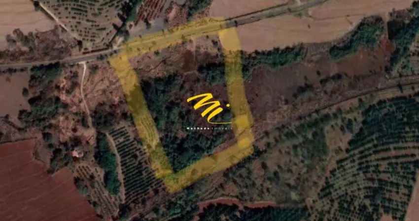 Terreno à venda em Mogi Mirim, Distrito Industrial I José Marangoni, com 46588 m²