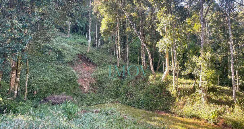 Terreno à venda, 1107 m² por R$ 500.000,00 - Alto Do Capivari - Campos do Jordão/SP