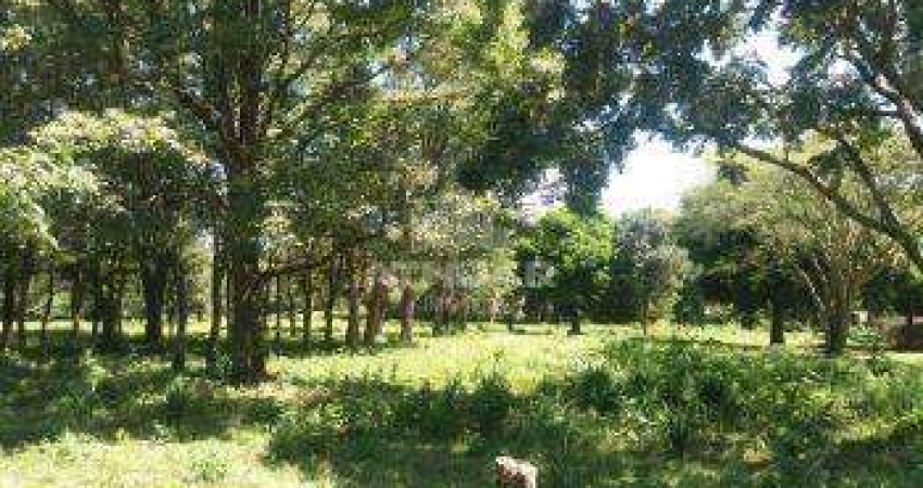 Terreno comercial para alugar no Três Lagoas, Foz do Iguaçu 