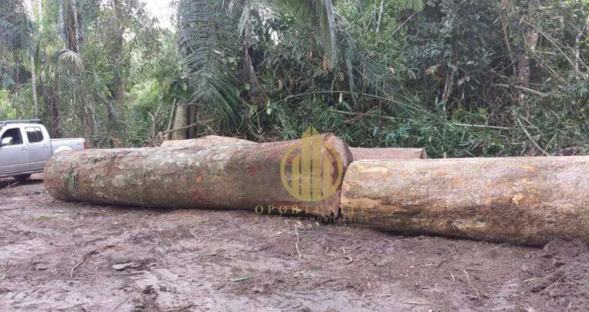 Fazenda à venda na Zona Rural, Feijó 