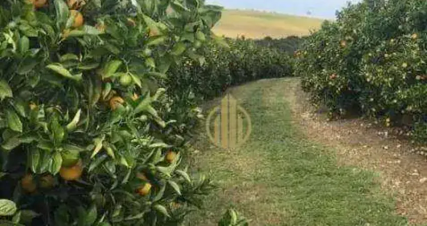 Fazenda à venda, 7986000 m² por R$ 120.000.000,00 - Centro - Botucatu/SP