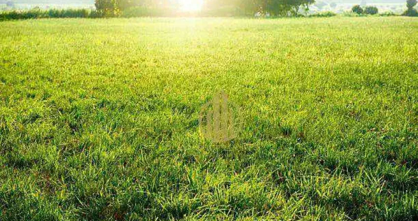Terreno Misto à venda, 5708 m² por R$ 4.000.000 - Jardim Palma Travassos - Ribeirão Preto/SP