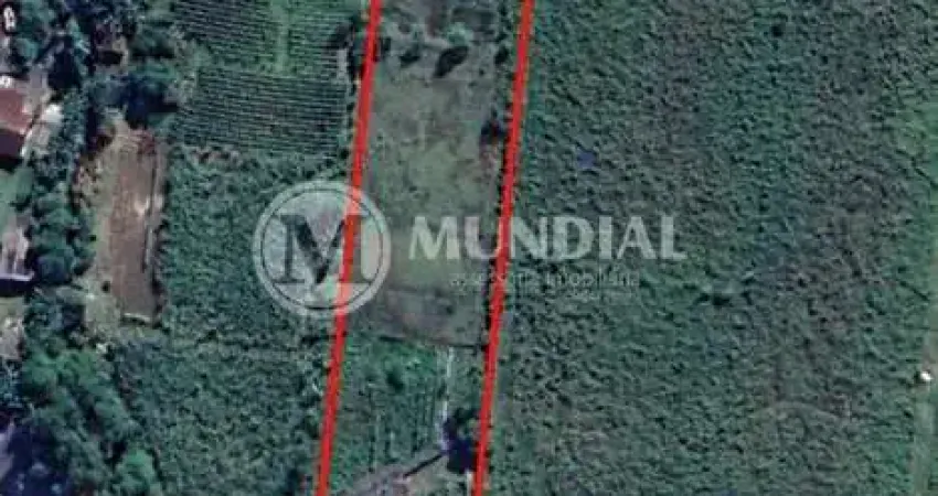 Terreno comercial à venda na Rua Rio Amazonas, 824, Rio Pequeno, Camboriú