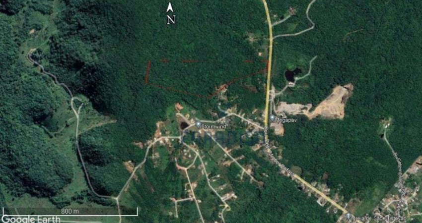 Terreno à venda, 104000 m² por R$ 199.000 - Ponta da Pedra - Antonina/PR