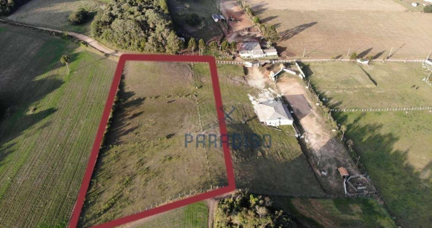 Chácara à venda, 10000 m² por R$ 990.000,00 - Centro - Campo Magro/PR