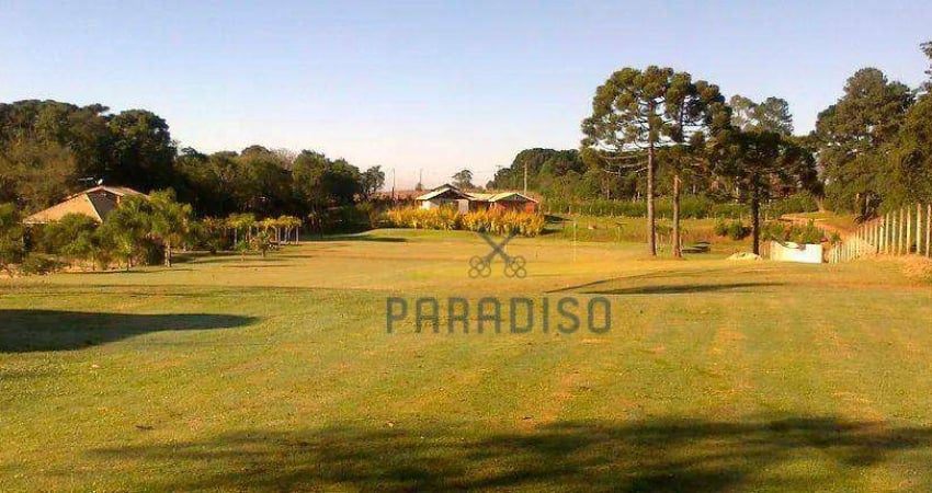 Chácara com 1 dormitório à venda, 5000 m² por R$ 500.000,00 - São Braz - Curitiba/PR