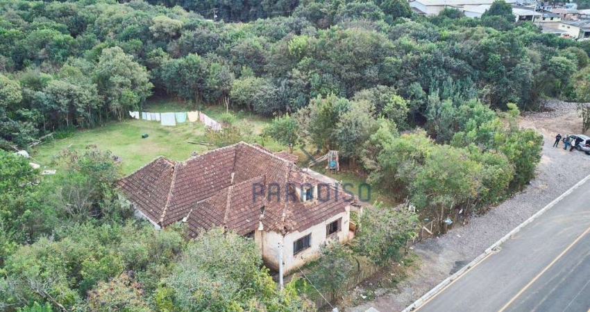 Terreno à venda, 10000 m² por R$ 1.350.000,00 - Butiatuvinha - Curitiba/PR