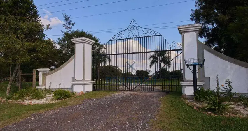 Chácara com 3 dormitórios à venda, 285124 m² por R$ 7.000.000,00 - São Luiz do Puruna - Balsa Nova/PR