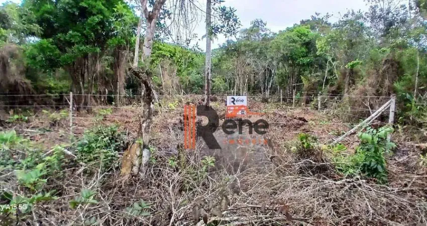 Terreno de 375m² à venda na Praia do Ervino, São Francisco do Sul!