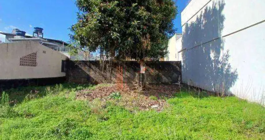 Terreno à venda no Centro, Balneário Camboriú 