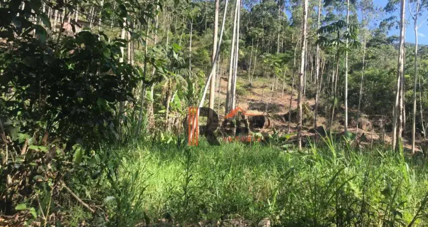 Terreno à venda no Braço, Camboriú 