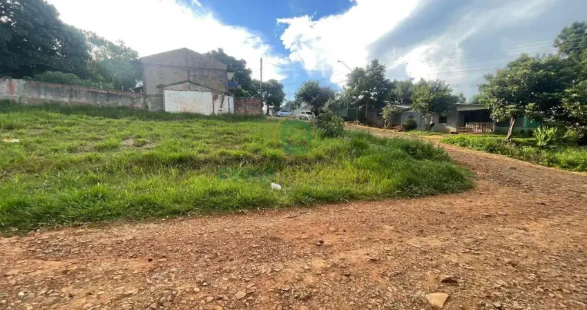 Terreno à venda na José Basílio de Oliveira, Centro, Palmital