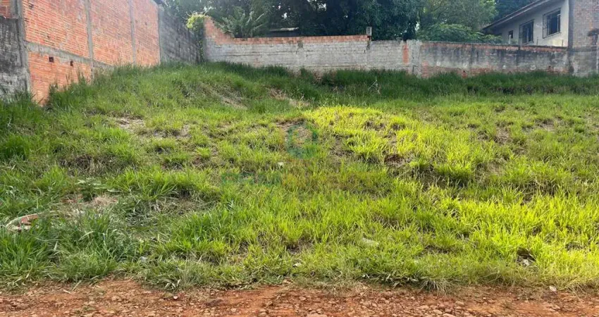 Terreno à venda na José Basílio de Oliveira, Centro, Palmital