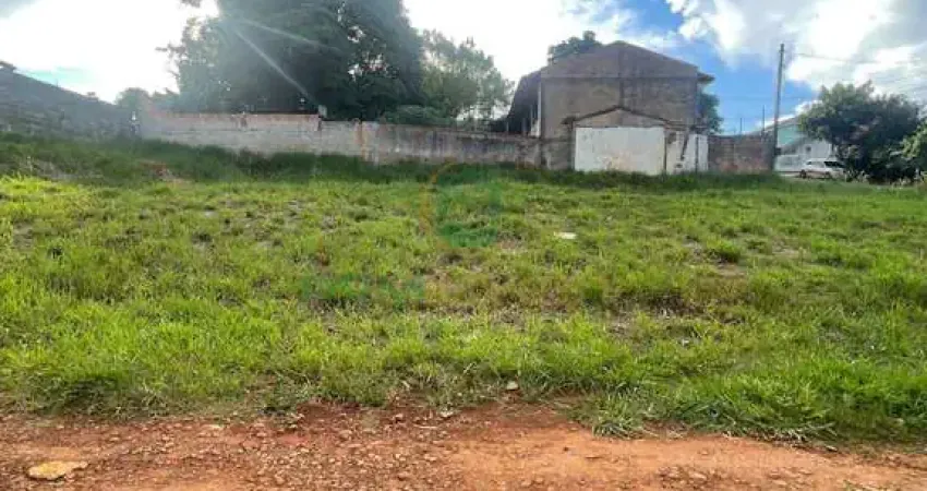Terreno à venda na José Basílio de Oliveira, Centro, Palmital