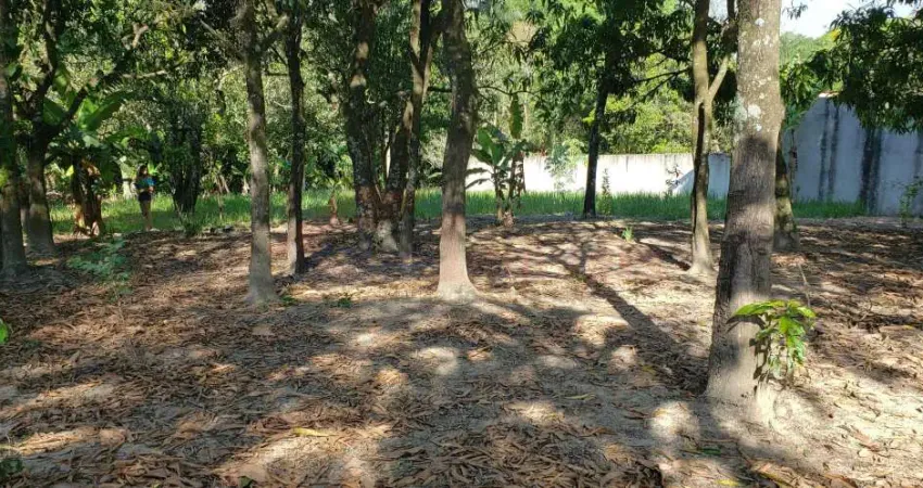 Terreno à venda na Dos Pinheiros, Casa Verde, Monte Mor